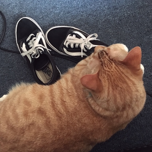 Hi ππΈ - Picture 6 of 7